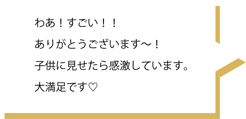 わあ！すごい！！ありがとうございます〜！子供に見せたら感激しています。大満足です♡