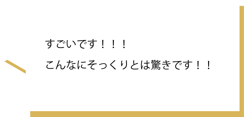 すごいです！！！こんなにそっくりとは驚きです！！